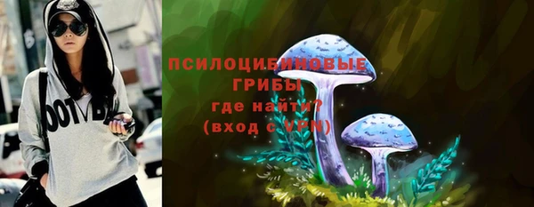 прущий лед Армянск