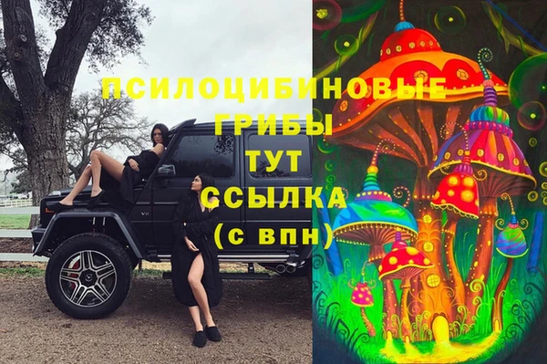 прущий лед Армянск